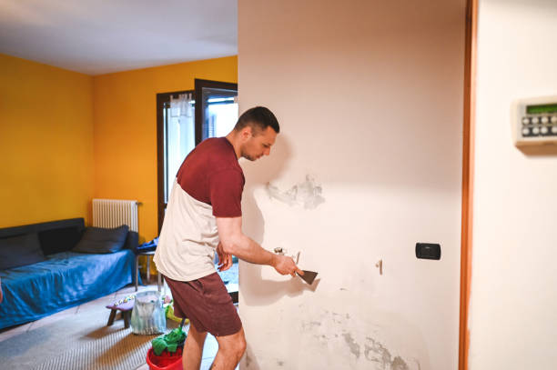 Best Professional Mold Removal  in Chester, PA
